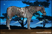 Horse Color:Silver Blue Roan Splash Tobiano  and ERROR: UNKNOWN ANOMALY