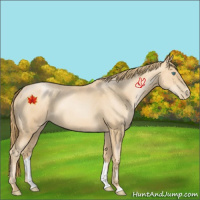 Horse Color:Gold Champagne Pearl 