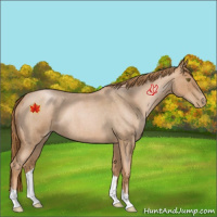 Horse Color:Red Roan Pearl 