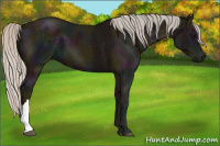 Horse Color:Midnight Silver Black 