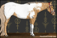Horse Color:Palomino Snowcap 