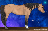 Horse Color:Bay Dun  and Bay Dun 