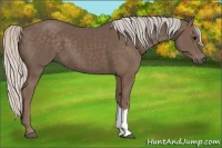 Horse Color:Silver Black 
