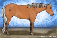 Horse Color:Bay  and Silver Bay 