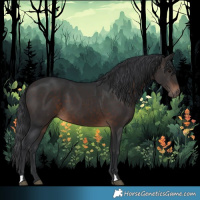 Horse Color:Brown 