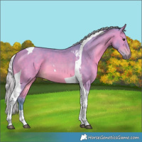 Horse Color:Watercolor Silver Bay Tobiano 