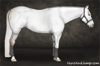 Horse Color:Gray White Spotted Silver Classic Champagne 