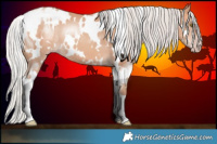 Horse Color:White Spotted Silver Amber Champagne