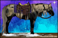 Horse Color:Void White Spotted Chocolate Palomino Dun Splash Tobiano 