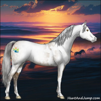 Horse Color:Gray White Spotted Classic Cream Champagne 