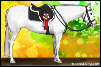 Horse Color:White Spotted Bay Roan Appaloosa 