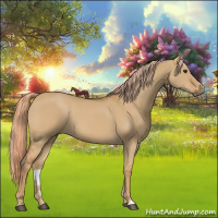 Horse Color:Red Dun 