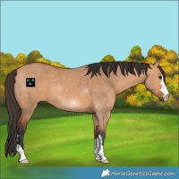 Horse Color:Bay Dun