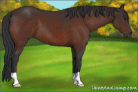 Horse Color:Brown 