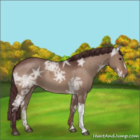 Horse Color:Chocolate Bay Ice Dun