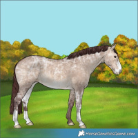 Horse Color:Chocolate Brown Ice Dun Sabino 