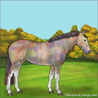 Horse Color:Nacre White Spotted Buckskin 