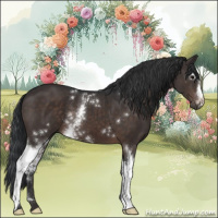 Horse Color:White Spotted Brown Mushroom 