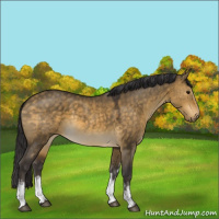 Horse Color:White Spotted Buckskin Dun Rabicano 
