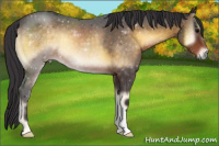 Horse Color:Buckskin Roan Onyx 