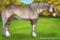 Horse Color:Silver Blue Onyx 
