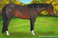Horse Color:Brown Roan 