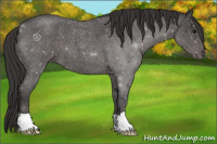 Horse Color:Smoky Blue Roan 
