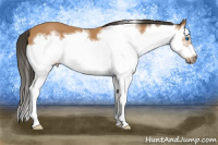 Horse Color:Bay Splash Frame 