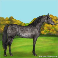 Horse Color:Platinum Brown Ice Dun Rabicano 