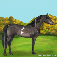 Horse Color:Platinum White Spotted Brown 