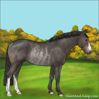 Horse Color:Smoky Black Rabicano