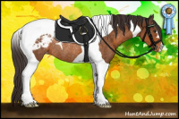 Horse Color:Buckskin Tobiano Appaloosa Rabicano 