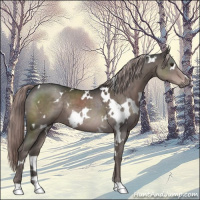 Horse Color:Platinum White Spotted Liver Chestnut 