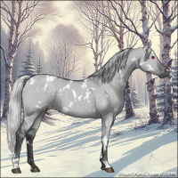 Horse Color:White Spotted Silver Grullo Chinchilla 