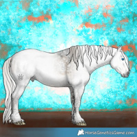 Horse Color:Gray Silver Smoky Grullo Splash Tobiano Frame Brindle 