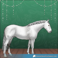 Horse Color:Gray Smoky Grullo Tobiano Varnish Brindle 