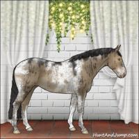 Horse Color:Smoky Grullo Tobiano Frame Brindle 