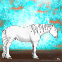 Horse Color:Gray Silver Smoky Creme Dun Sabino Splash Tobiano Appaloosa Brindle 