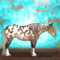 Horse Color:Silver Buckskin Dun Tobiano Appaloosa Brindle 