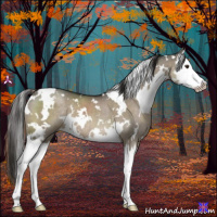 Horse Color:White Spotted Liver Red Dun Splash