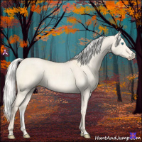 Horse Color:Silver Perlino Dun 
