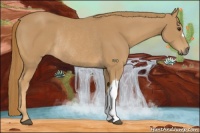 Horse Color:Chestnut Rabicano 