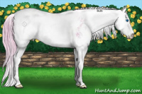 Horse Color:Watercolor Gold Champagne Sabino Splash 