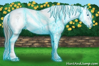 Horse Color:Thunderstruck Amber Cream Champagne Ice Sabino Splash 