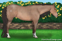 Horse Color:Sable Champagne Roan