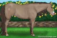 Horse Color:Classic Champagne