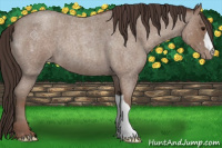 Horse Color:Classic Champagne Roan Varnish 