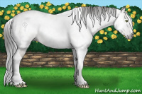 Horse Color:Gray Sable Cream Champagne Mushroom Tobiano