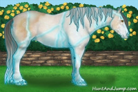 Horse Color:Thunderstruck Sable Champagne Roan Sabino 