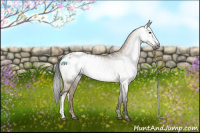 Horse Color:Gray Brown Dun Appaloosa Rabicano 